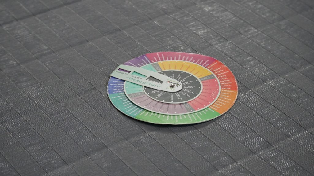La roue des &eacute;motions pos&eacute;e sur le tatami pendant une s&eacute;ance Brainboxing au S&icirc;lot